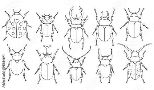 Beetles coloring book vector set – simple insect line art for kids