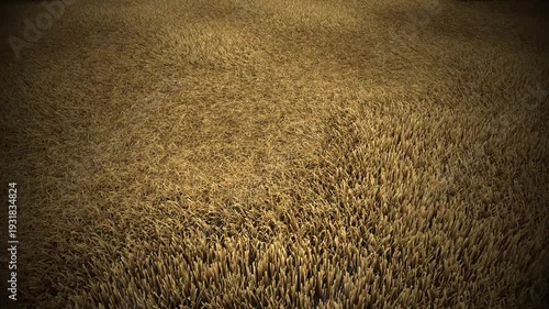 Ultra Realistic Tilted Dry Grass in Wind Cinematic Landscape 1080p Seamless Loop