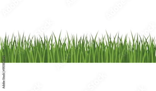 Flat spring green grass vector background – panoramic isolated design
