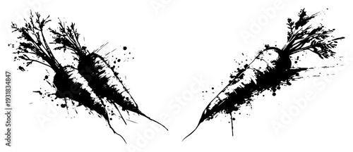 Fresh garden carrots with leaves in artistic black ink splash style