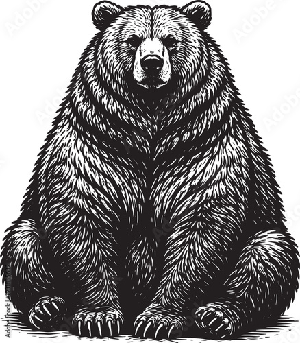 Massive grizzly bear sitting with round body, thick fur texture, black and white wood engraving style