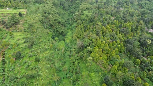 Aerial Drone Video Footage of Agricultural Valley