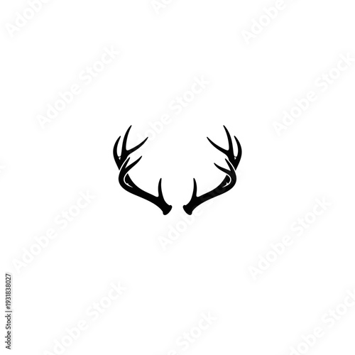 A pair of deer antlers on a white background