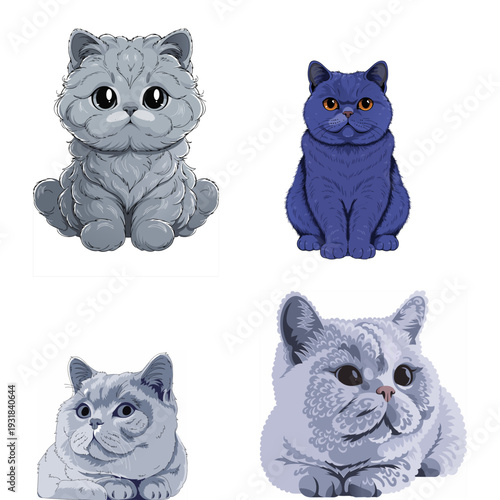 cute british shorthair blue cat icon with round face plush fur isolated on white background