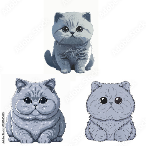 cute british shorthair blue cat icon with round face plush fur isolated on white background