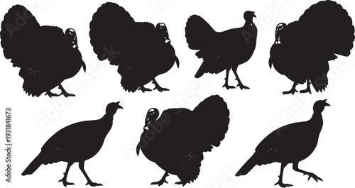 Black Solid Wild Turkey Strutting Silhouettes Set of Six on White Background