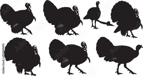 Black Solid Wild Turkey Strutting Silhouettes Set of Six on White Background
