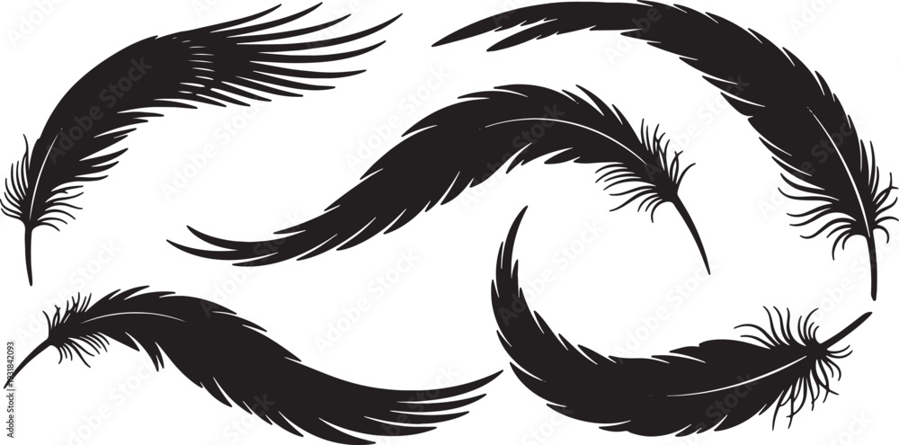 Obraz premium Black Solid Wing Feather Silhouettes Set of Six on White Background
