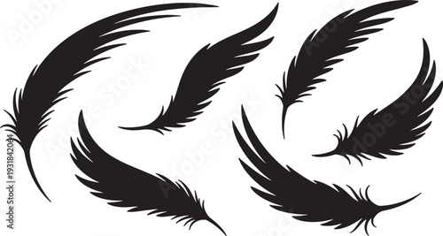 Black Solid Wing Feather Silhouettes Set of Six on White Background