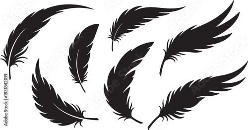 Black Solid Wing Feather Silhouettes Set of Six on White Background