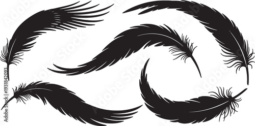 Black Solid Wing Feather Silhouettes Set of Six on White Background