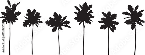 Black Solid Young Oak Sapling Silhouettes Set of Six