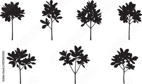 Black Solid Young Oak Sapling Silhouettes Set of Six