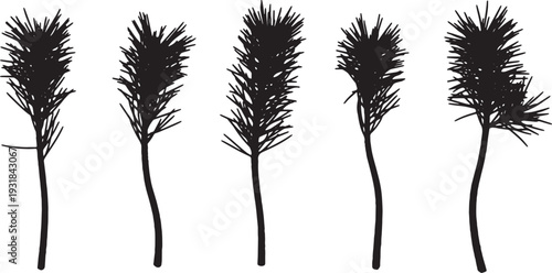 Black Solid Young Pine Sapling Silhouettes Set of Six