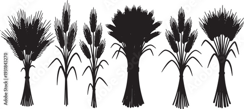 Black Solid Wheat Sheaf Silhouettes Set of Six on White Background