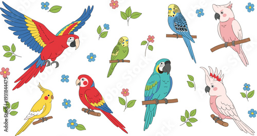 Colorful Parrot and Exotic Birds Collection with Tropical Flowers and Leaves Vector Illustration Set