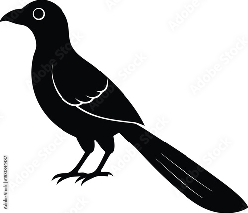 Asian Koel Silhouette Vector Art Illustration