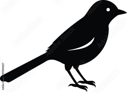 Black Bulbul Silhouette Vector Art Illustration