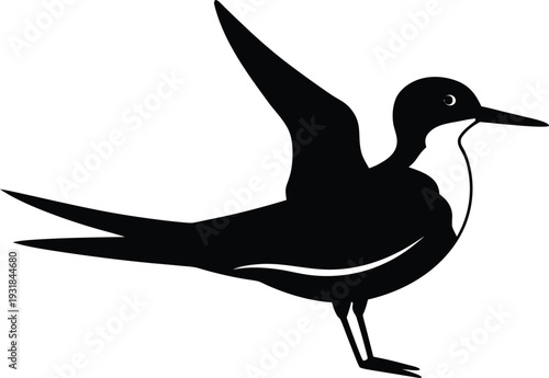 Black Skimmer Silhouette Vector Art Illustration