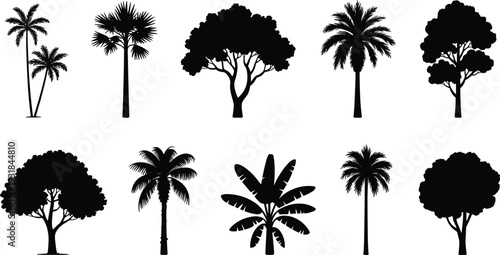 Tree silhouettes collection, palm trees, broadleaf trees, banana trees, botanical illustration, landscape design, foliage patterns, nature concept, forest elements, greenery