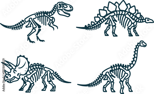 Vector art of set of dinosaur skeletons including trex, triceratops, stegosaurus and brontosaurus in blue