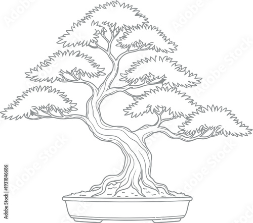 Detailed line art drawing of a meticulously shaped bonsai tree ready for coloring