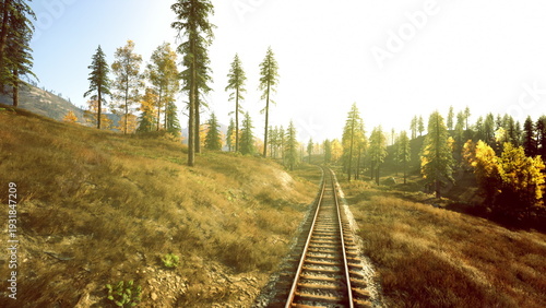 textured railway cutting through grassy slope, foreground detail and warm light emphasize flora, seasonal color, and narrative potential for nature storytelling
