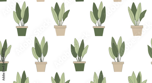 Seamless pattern of hand drawn green houseplants in pots on a white background