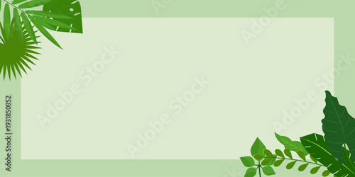 Modern tropical leaves background featuring green botanical elements with clean copy space composition. Perfect for banner design, branding, social media, advertising, presentation, packaging