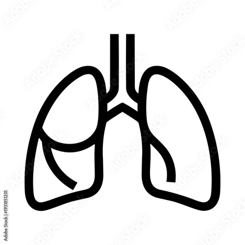 lungs