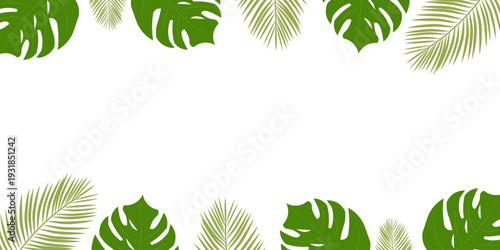 Modern tropical leaves background featuring green botanical elements with clean copy space composition. Perfect for banner design, branding, social media, advertising, presentation, packaging