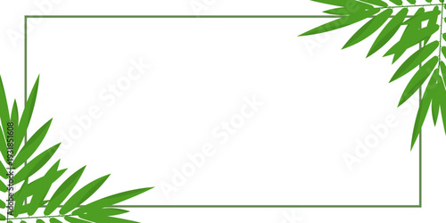 Modern tropical leaves background featuring green botanical elements with clean copy space composition. Perfect for banner design, branding, social media, advertising, presentation, packaging