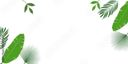 Modern tropical leaves background featuring green botanical elements with clean copy space composition. Perfect for banner design, branding, social media, advertising, presentation, packaging