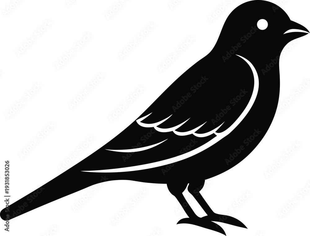 Fototapeta premium Common Nighthawk Silhouette Vector Art Illustration