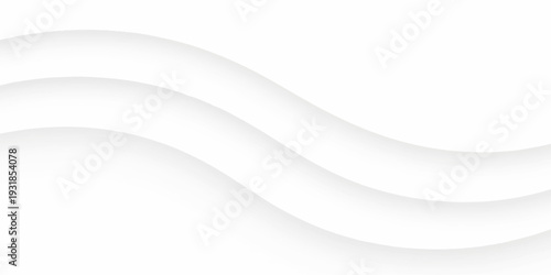 Abstract white background featuring dynamic White waves and gray curves in a flowing vector illustration for a professional business wallpaper template.