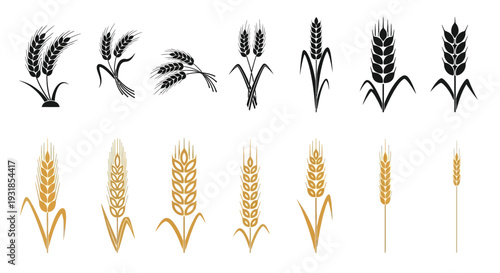 wheat and grain icon set, harvest, agriculture, and organic food vector