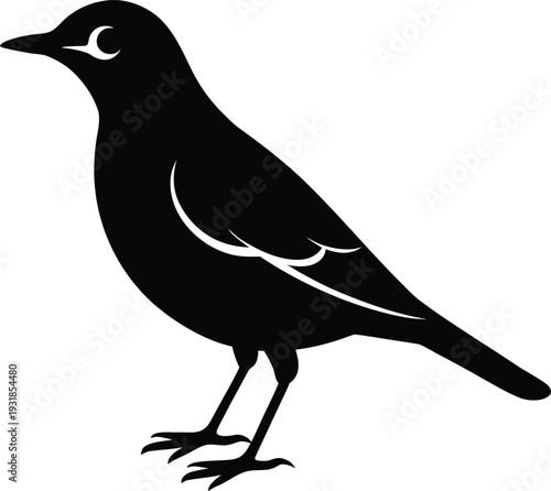 Dusky Thrush Silhouette Vector Art Illustration