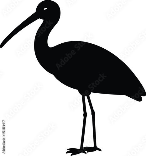 Eurasian Spoonbill Silhouette Vector Art Illustration