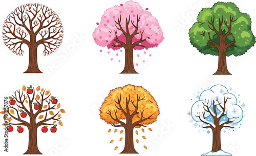 PrintSeasonal tree illustration set with winter bare branches, spring blossoms, summer foliage, autumn apples and falling leaves, nature cycle vector design