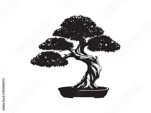 Beautiful bonsai tree art illustration with intricate trunk and foliage design