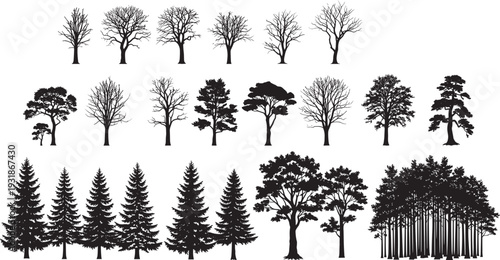 Black silhouette tree set bare leafless deciduous winter trees mixed conifers pine fir forest groups various shapes heights, nature landscape vector illustration for seasonal environment designs logos