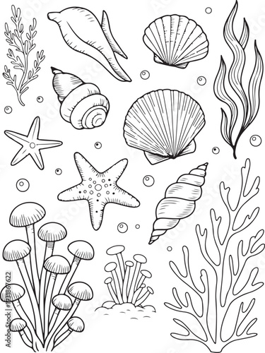 Sea Shells and Coral Reef Vector Collection: Underwater Marine Life Illustrations,Black and White Line Art Set of Ocean Treasures, Starfish, and Aquatic Plants