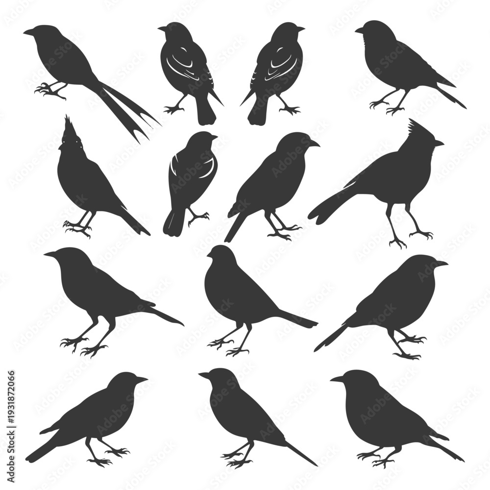 Obraz premium A Collection of Fourteen Bird Silhouettes