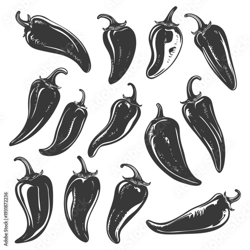 A Collection of Hand-Drawn Black and White Chili Peppers