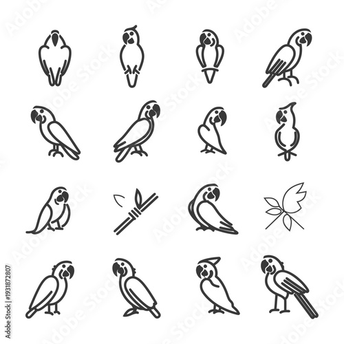 A Collection of Line Art Parrot Illustrations