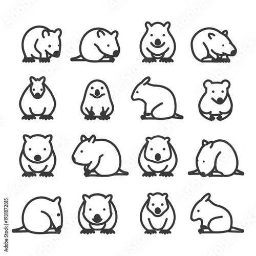 A Collection of Line Art Wombat Illustrations