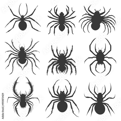 A Collection of Nine Spider Silhouettes