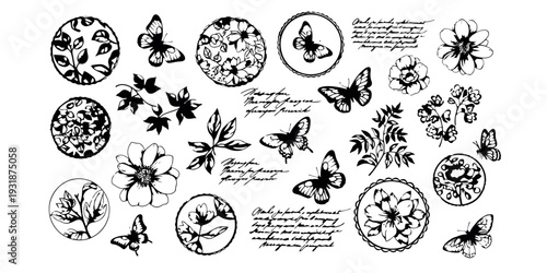 Butterfly and moth illustrations with botanical elements