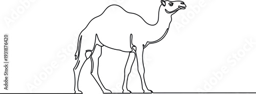 Minimalist continuous line drawing of a dromedary camel standing gracefully