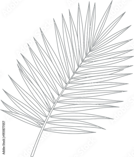 Minimalist black and white line art drawing of a single tropical palm frond silhouette